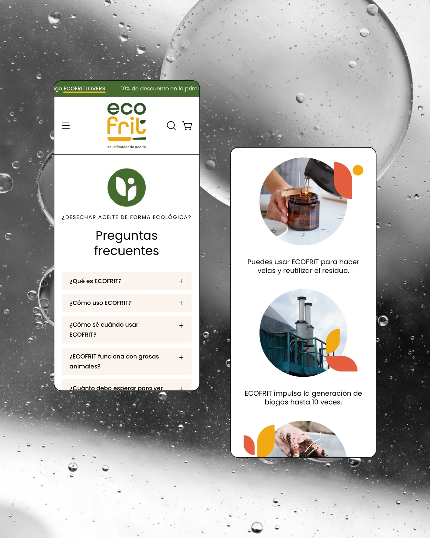 Ecofrit-1.jpg