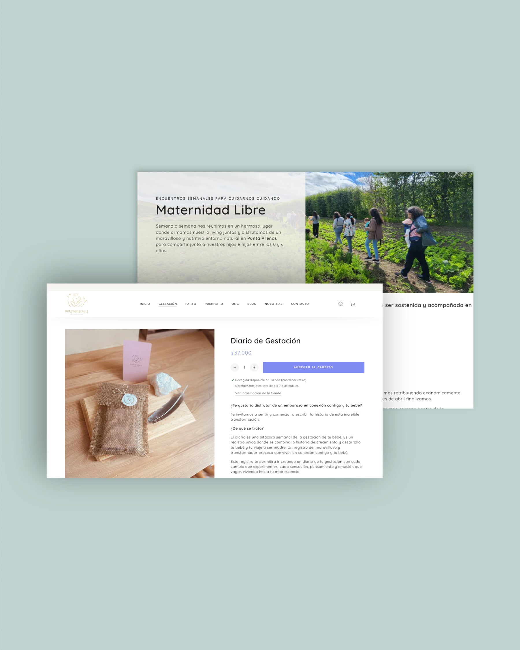 Mimatrezencia-Ecommerce-03.jpg