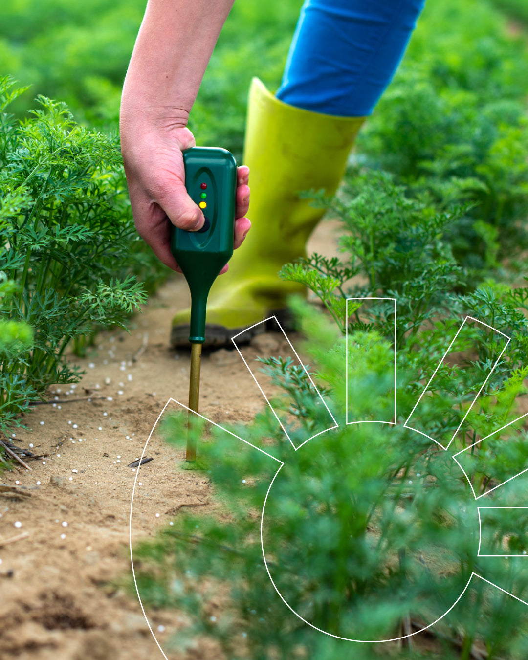 Portafolio_Techpro-Agro-5.jpg