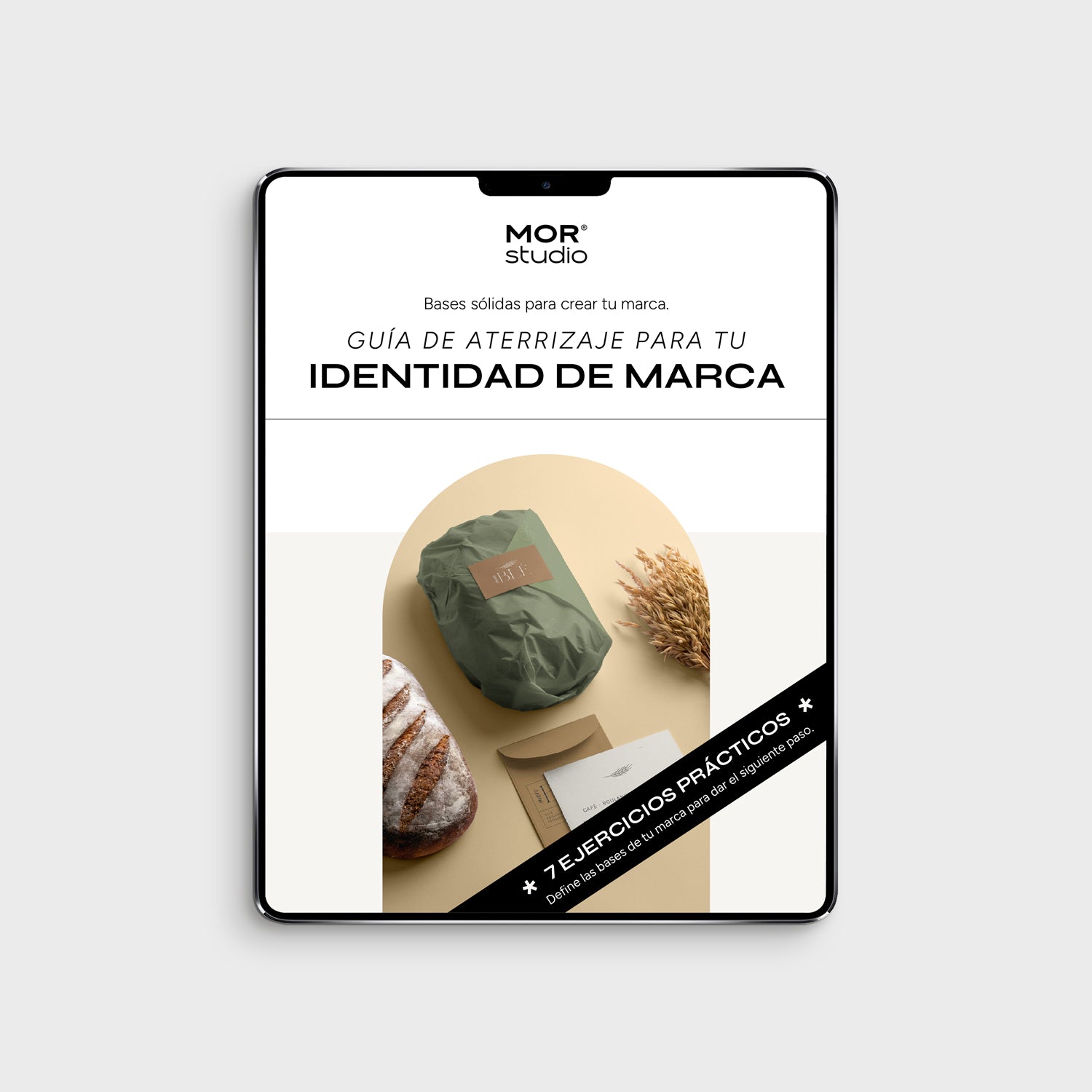 eBook: Guía de aterrizaje para tu Identidad de Marca
