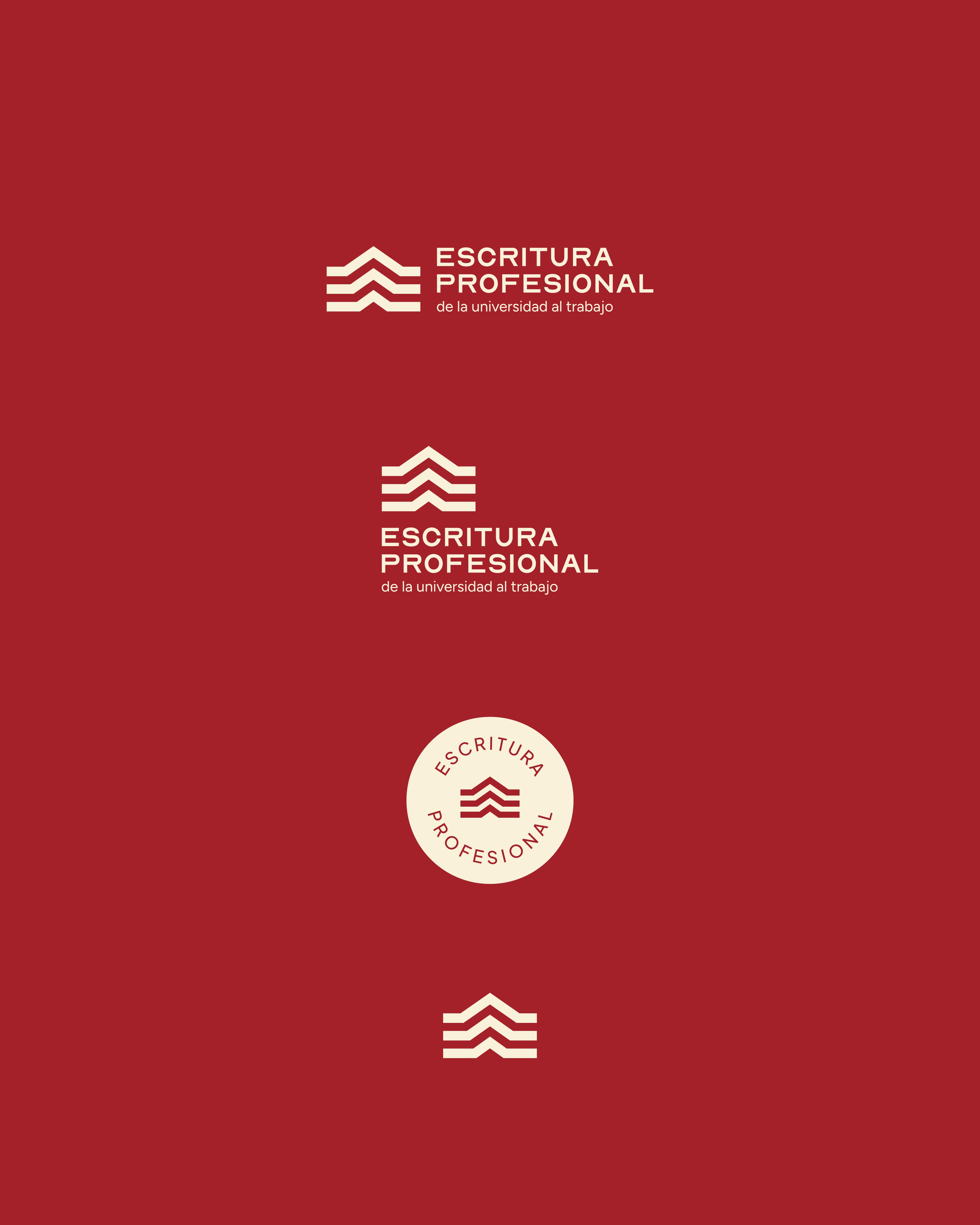 Escritura-Profesional-02.jpg